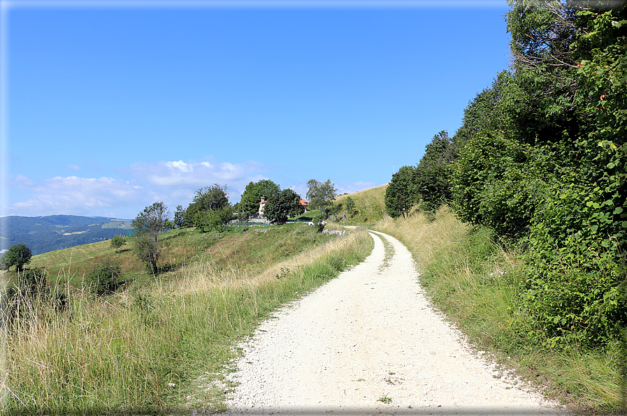 foto Strada delle Penise